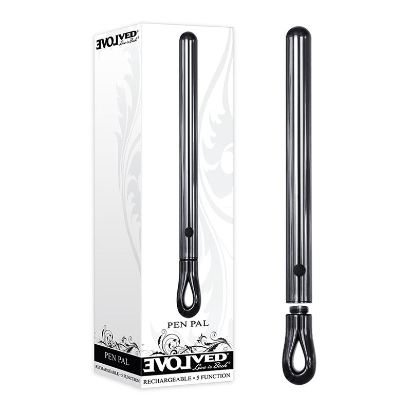 Evolved Pen Pal - Metallic 11.3 cm USB Rechargeable Vibrator - Just for you desires