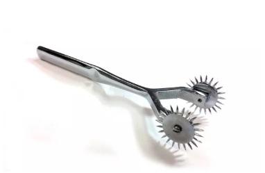 Two Prong Pinwheel - Just for you desires