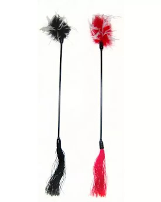 Whip and Tickle - Just for you desires