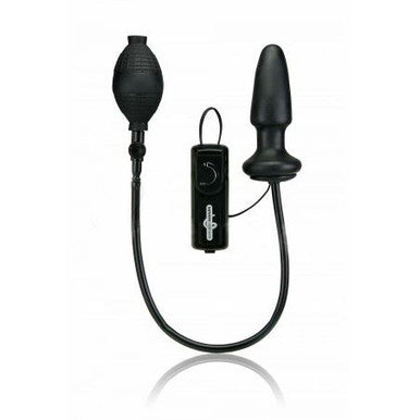 125808 - Fanny Hills Inflatable And Vibrating Butt Plug - Just for you desires