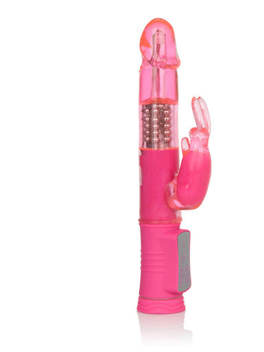 157991 - Shanes World Jack Rabbit - Just for you desires