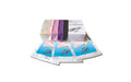 Sheer Dams 100 Pc Mixed Box Colours Flavours - Just for you desires