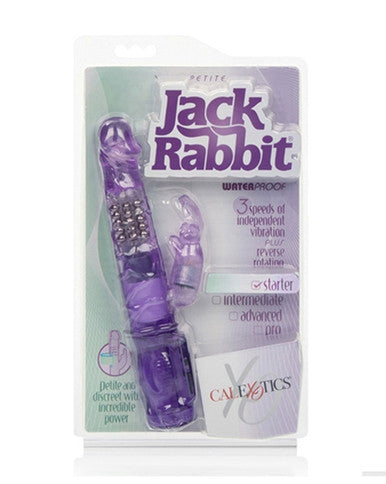165003 - Petite Jack Rabbit - Just for you desires