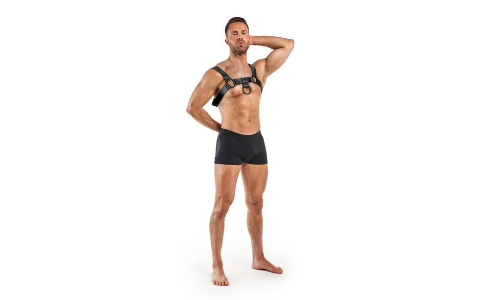 Bruno Bondage Harness Black - Just for you desires