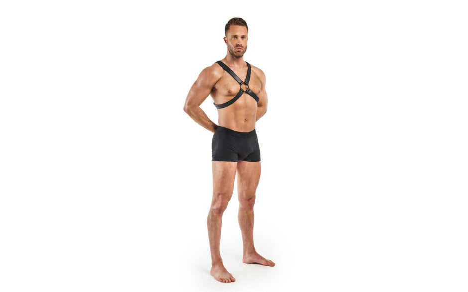 Lionel Bondage Harness Black - Just for you desires