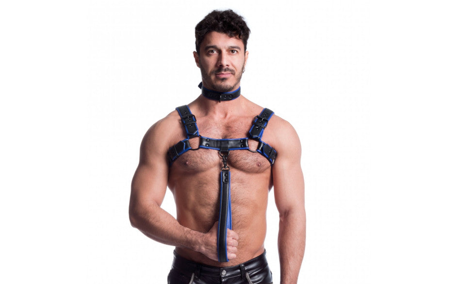 Vegan Bulldog Harness Black and Blue