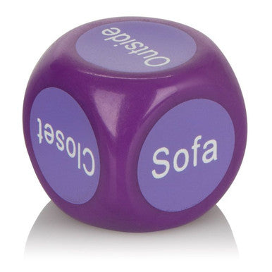 171846 - Shanes World Sex Dice 101 - Just for you desires