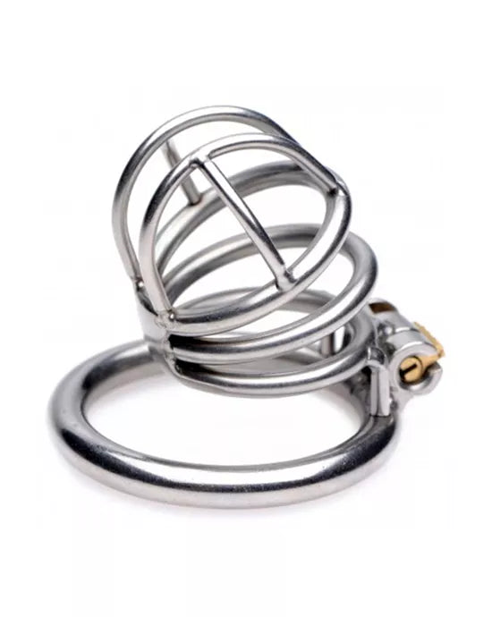 The Pen Deluxe Locking Chastity Cage - Just for you desires