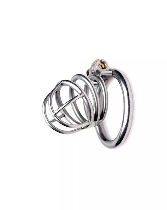 The Pen Deluxe Locking Chastity Cage - Just for you desires
