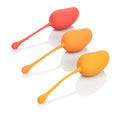 219104 - Calexotics Kegel Training Set - Just for you desires