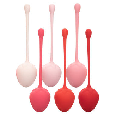 221351 - 6 Piece Kegel Training Set - Just for you desires