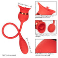 230588 - French Kiss Casanova - Just for you desires