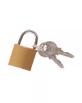 Padlock - Just for you desires