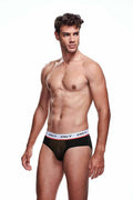 Envy Mesh Brief - Just for you desires