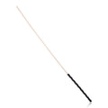 249091 - Disciple Cane - Just for you desires