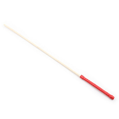 249135 - Thick Discipline Cane - Just for you desires