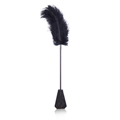 249170 - Ostrich Feather And Lace Paddle - Just for you desires