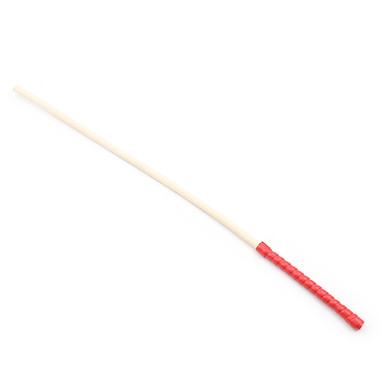 249184 - Sturdy Discipline Cane - Just for you desires