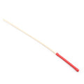 249184 - Sturdy Discipline Cane - Just for you desires
