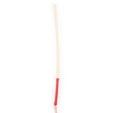 249184 - Sturdy Discipline Cane - Just for you desires