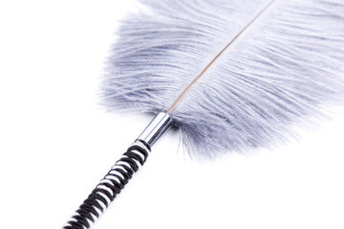 249186 - Plume Tickler - Just for you desires