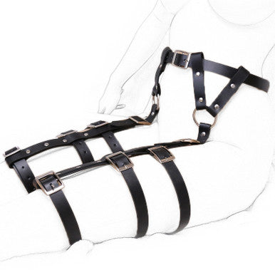 249267 - Devotion Waist And Thigh Harness - Just for you desires