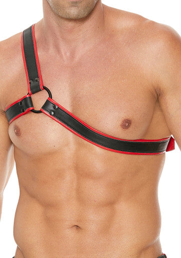 250276 - Gladiator Leather Harness - Just for you desires