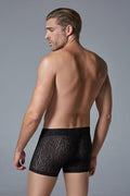 263028 - Luca Leopard Boxer - Just for you desires