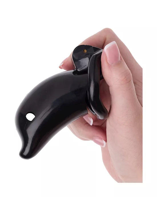 KinKi Dolphin Chastity Cage - Just for you desires