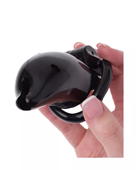 KinKi Dolphin Chastity Cage - Just for you desires