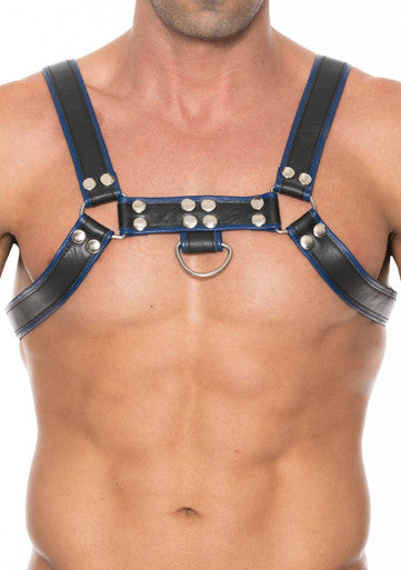 270131 - Chest Bulldog Harness - Just for you desires