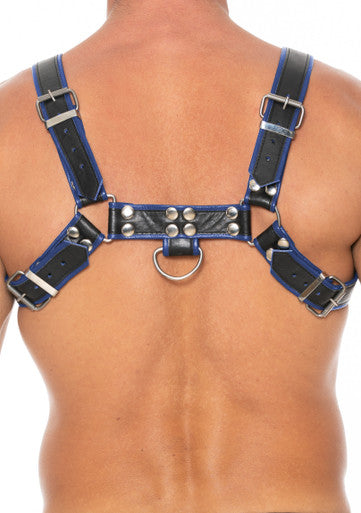 270131 - Chest Bulldog Harness - Just for you desires