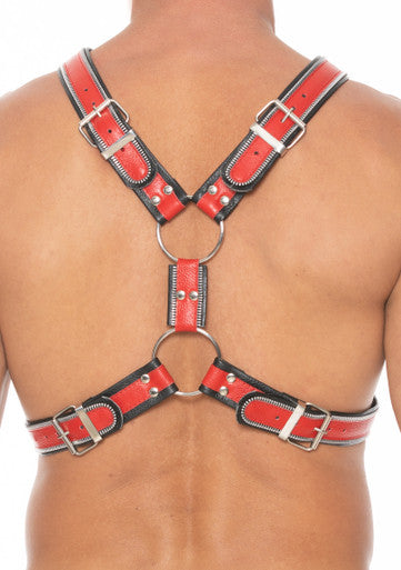 270144 - Z Series Scottish Harness - Just for you desires