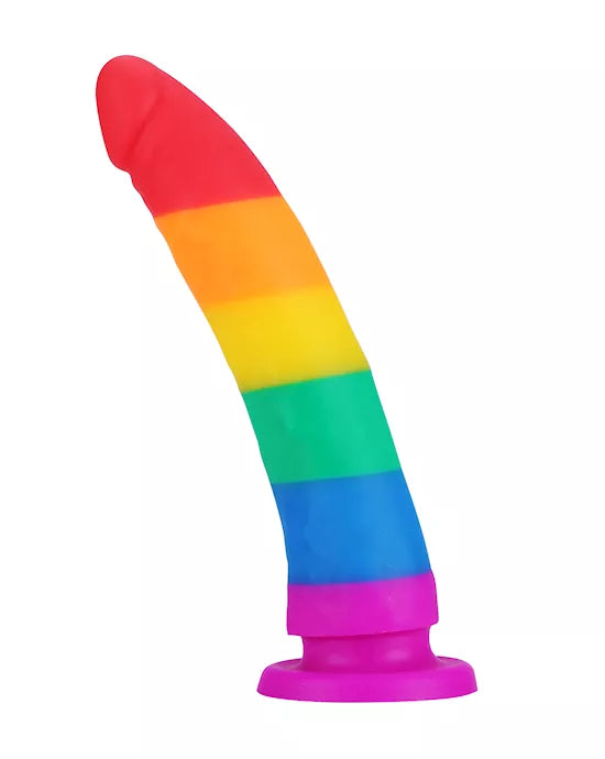 Nood Colours - Rainbow Dildo - Just for you desires