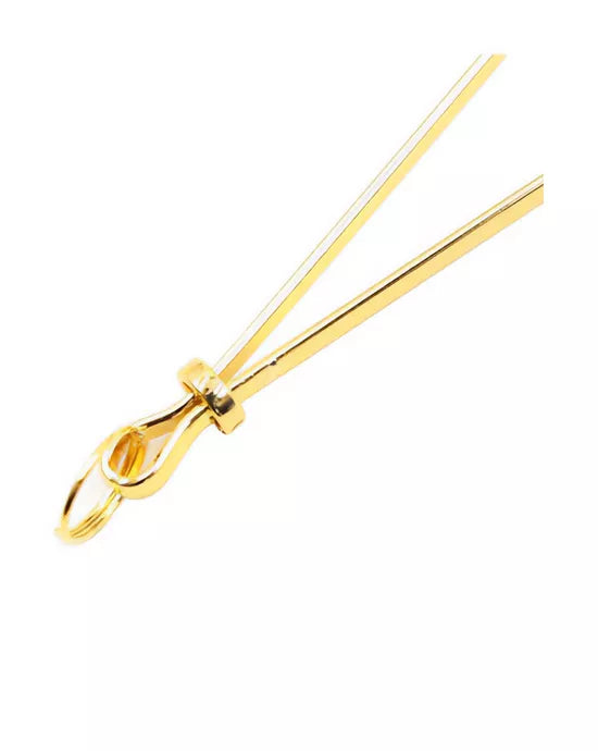 Kinki Nipple Clamps - Just for you desires
