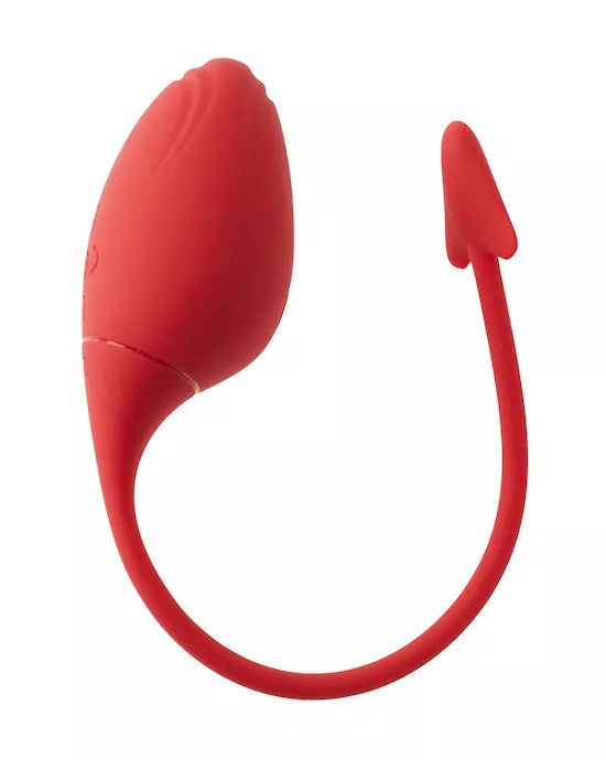 APP vibration egg - Just for you desires