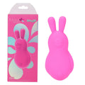 Maia BRI - Pink - Pink 9 cm USB Rechargeable Vibrating Bunny Bullet - Just for you desires