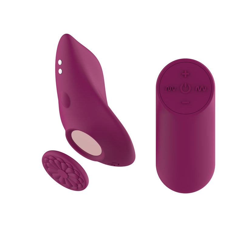 Passion Play Magnet Panty Vibe with Remote -  USB Rechargeable Panty Vibrator with Wireless Remote Control - Just for you desires