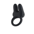 Passion Play Dual Motors Vibrating Cockring -  USB Rechargeable Vibrating Cock Ring - Just for you desires
