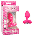 Cheeky Gems Medium Rechargeable Vibrating Probe Pink - Just for you desires