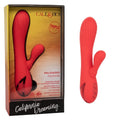 California Dreaming Palisades Passion - Just for you desires