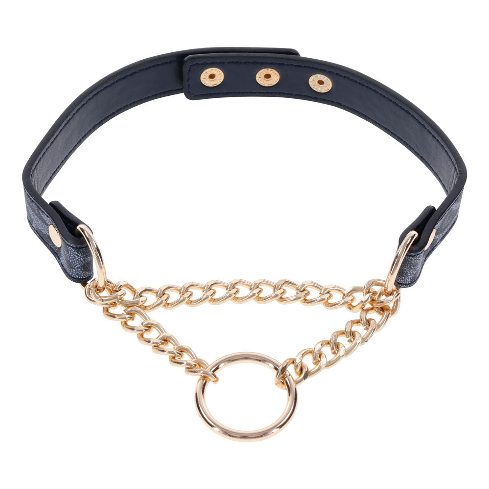 Sex & Mischief Cougar Day Collar - Navy Blue/Gold Collar - Just for you desires