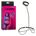 Euphoria Collection Plus Size Chain Halter/Collar & Leash - Just for you desires