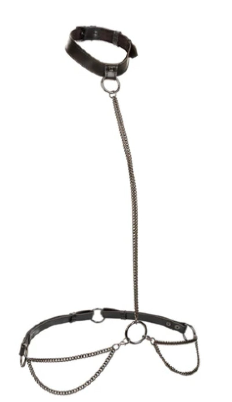 Euphoria Collection Chain Halter/Collar & Leash