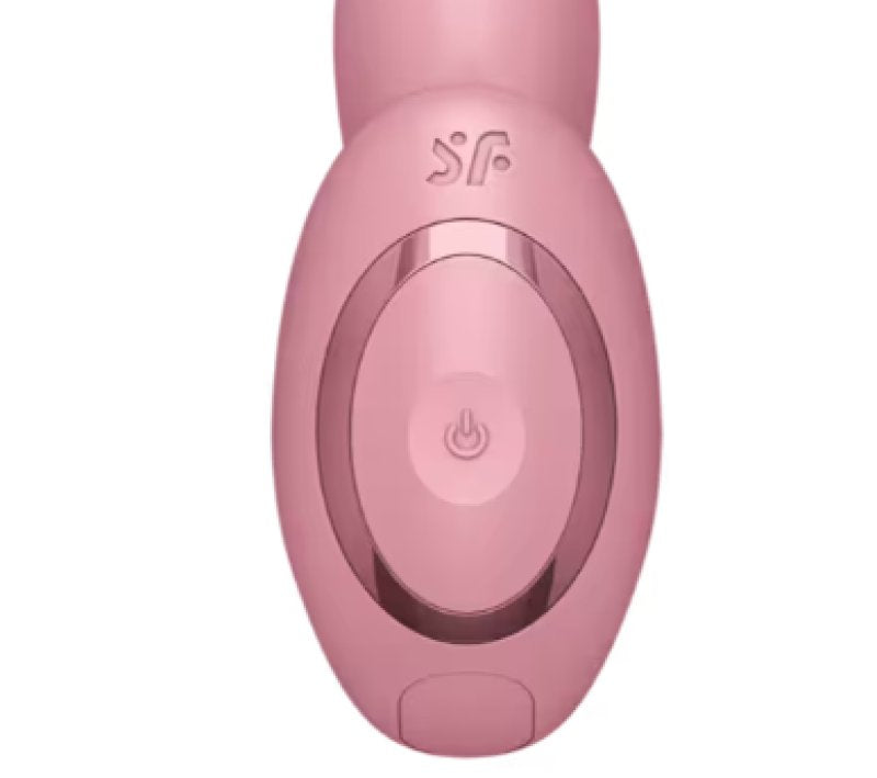 Satisfyer Desire 360 old rose