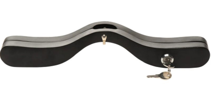 Master Series Exposed E-Stim Wooden Humbler - Just for you desires