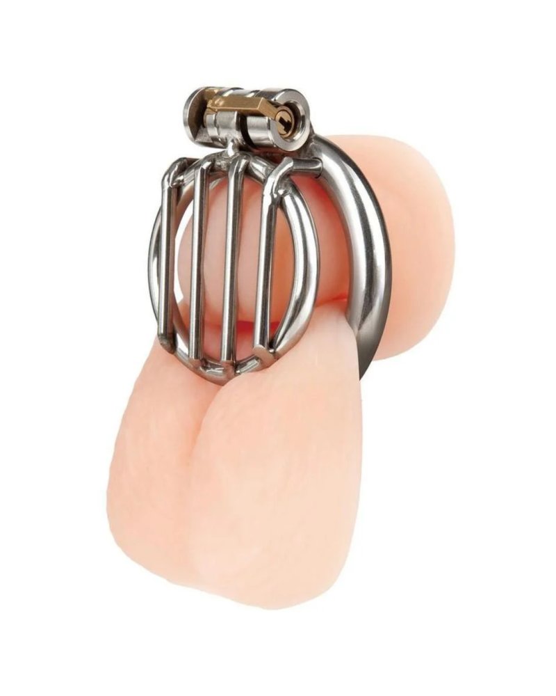 Blue Line Stainless Steel Inverted Micro Jail Time Chastity Cage - Just for you desires