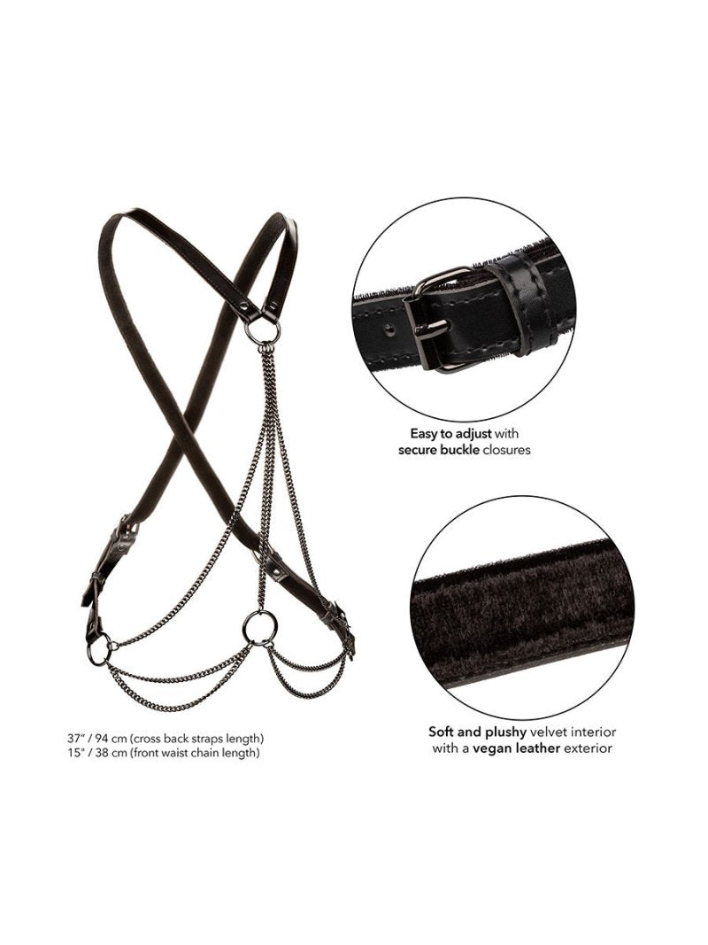 Euphoria Collection Multi Chain Harness