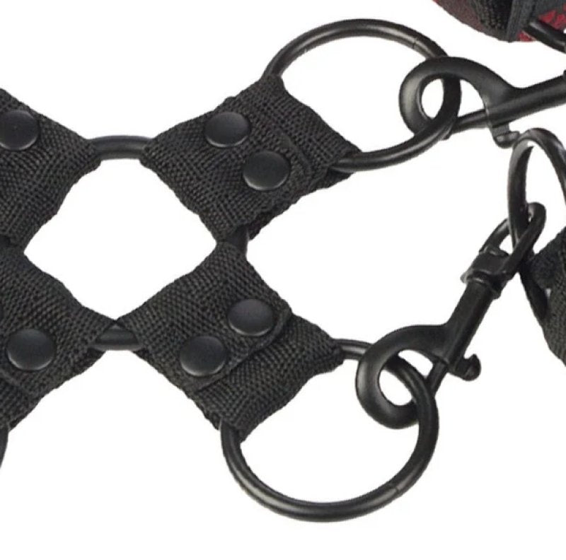 Scandal Hog Tie