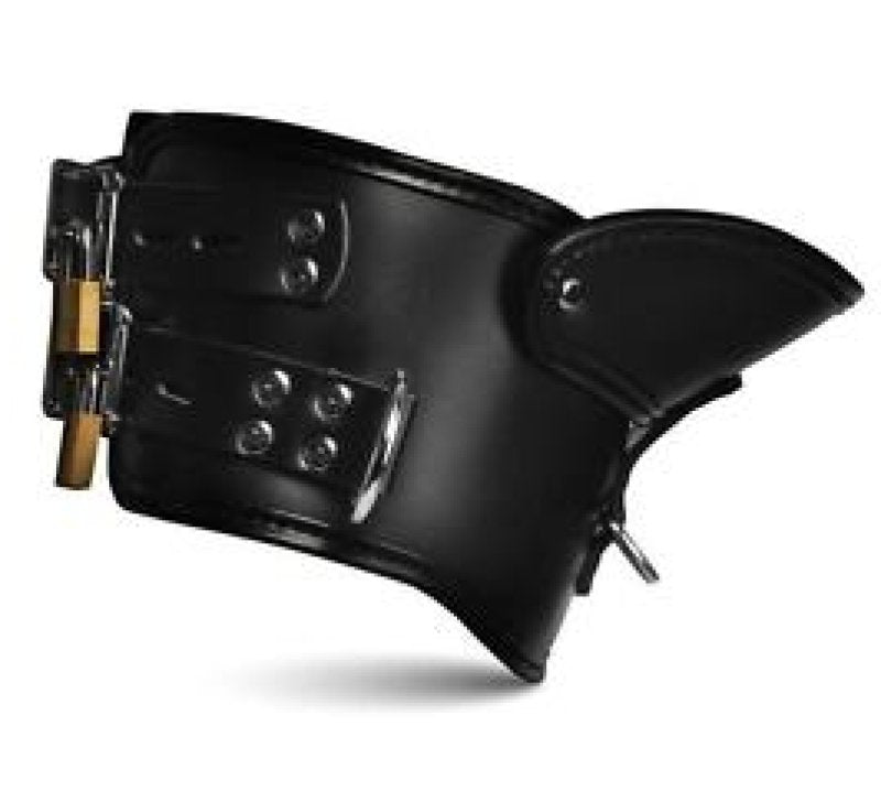 Master Series Rigid Locking Posture Collar w/ Chin Brace - Just for you desires